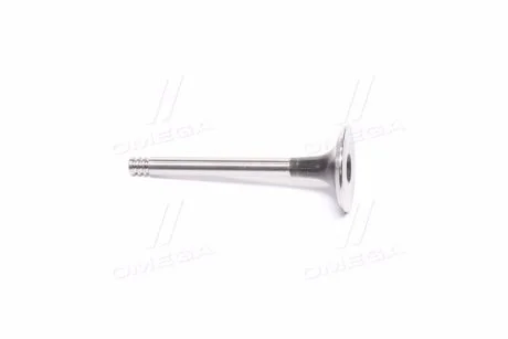 Впускний клапан (36,1x7,97x95) AUDI 100 C3, 80 B4, SEAT CORDOBA, IBIZA II, TOLEDO I, VW GOLF III, LT 28-35 I, LT 40-55 I, PASSAT B3/B4, VENTO 1.9D/2.0D/2.4D 12.82-04.99 AE V91336