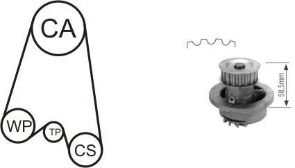Насос води + комплект зубчатого ремня AIRTEX WPK-116401