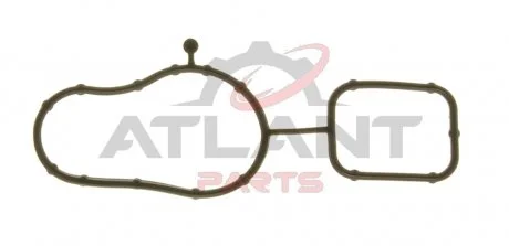 Прокладка помпи води AJUSA 01197800