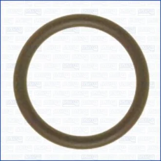 Прокладка впускного колектора FIAT DOBLO, DOBLO CARGO 1.3D 03.16-12.23 AJUSA 16012100