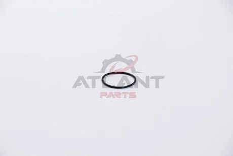 Прокладка впускного колектора AJUSA 16022000