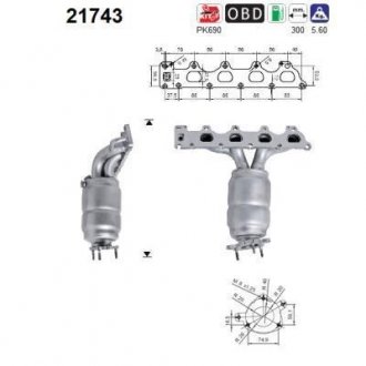 Катализатор AS AS-PL 21743