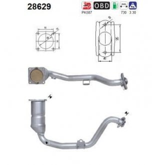 Катализатор AS AS-PL 28629
