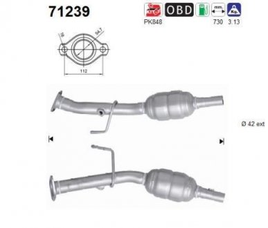 Катализатор AS AS-PL 71239