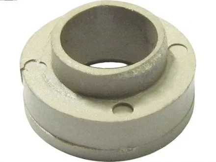 Фото 1 - ремкомплект стартера (деталі стартера, заглушки, шайби) AS-PL ARS2017 Ремкомплект стартера (деталі стартера, заглушки, шайби) AS-PL ARS2017 (фото 1)