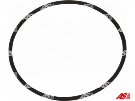 AS-PL ARS3005 (фото 1)