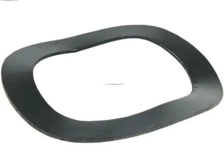 Генераторна шайба AS-PL ARS6004