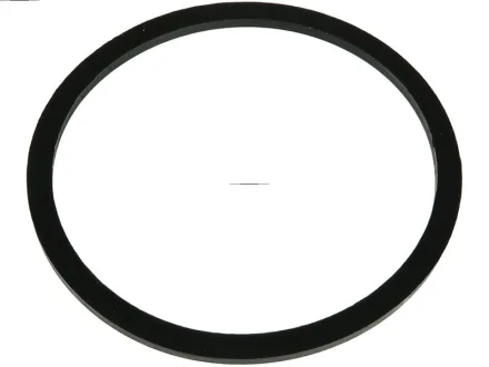 AS AS-PL SP0076SBULK