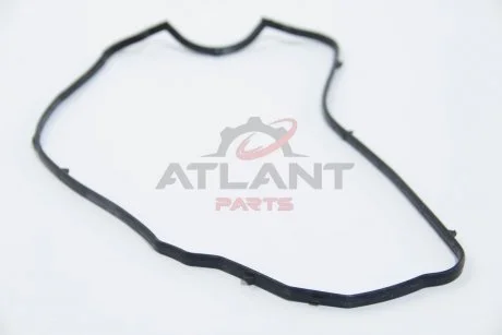 Прокладка клапанной крышки Renault Logan, Sandero, Clio, Kangoo 1.2, 1.2 16V ASAM 55040