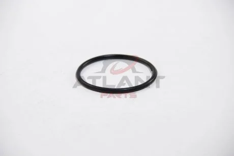 Прокладка дросельної заслінки Kangoo 1.6 i 01-/Trafic/Vivaro 2.0 i 01- ASAM 55800