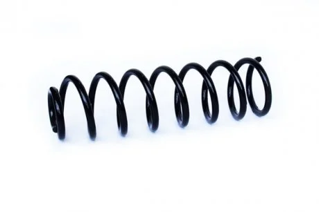 Пружина задня Megane II 03- ASAM 73779