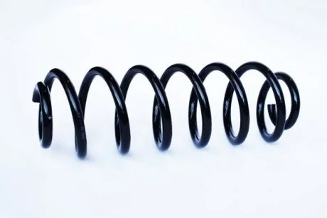 Пружина задня Passat 4motion,Passat Variant,Tiguan 4motion 05- ASAM 73786