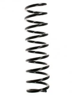 Пружина підвіски задня BMW 5 (E39) 525 D (00-03) ASAM 75883