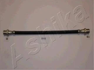 Кронштейн, тормозный шланг ASHIKA 6905515