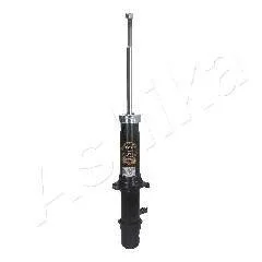 AMORT.// ASHIKA MA40012