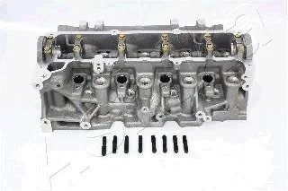 Головка цилиндра ASHIKA NS013S