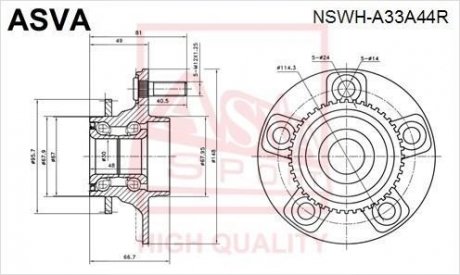 СТУПИЦЯ ЗАДНЯ З КІЛЬЦЕМ ABS (NISSAN MAXIMA CEFIRO A33 1998-2003) ASVA NSWH-A33A44R