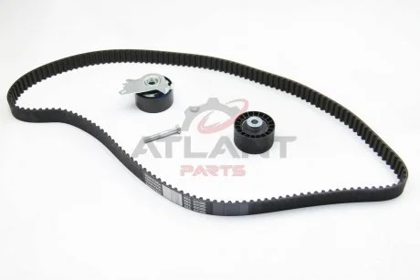 Комплект ГРМ Scudo/Jumpy/Expert 2.0 16V 07- (рем. Conti CT1110) AUTLOG ZK1054