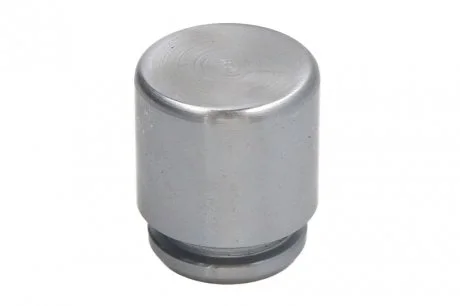 Поршень циліндра суппорта AUTOFREN D025284