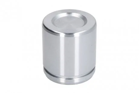 Поршень циліндра суппорта SEINSA AUTOFREN D025464