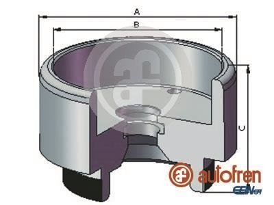 Tіoczek.. SEINSA AUTOFREN D025721