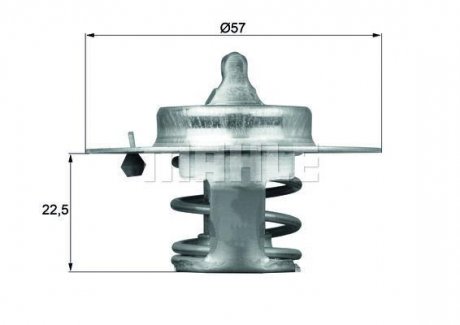 Термостат BEHR TX6083D (фото 1)