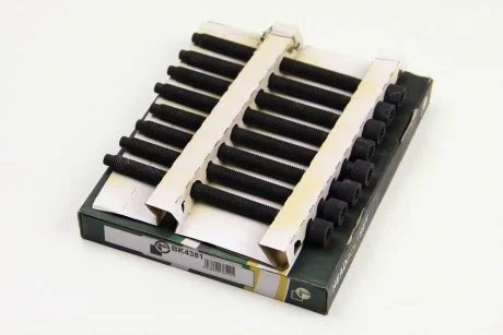 Болти головки блока Fabia/Polo1.4TDI 00- BGA BK4381