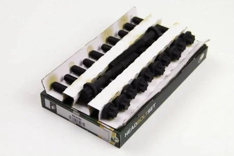 Набір болтів ГБЦ (к-кт 12шт)Г/Б MB 2.7CDI OM612/647 BGA BK4389