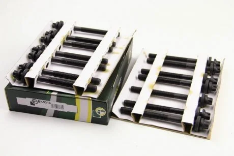 Фото 1 - болти головки блока BMW 3-7 (E34/E39/E46E60/E61) X3/X5/Omega B 2.5TDI 99- (к-кт) BGA BK5316 Болти головки блока BMW 3-7 (E34/E39/E46E60/E61) X3/X5/Omega B 2.5TDI 99- (к-кт) BGA BK5316 (фото 1)