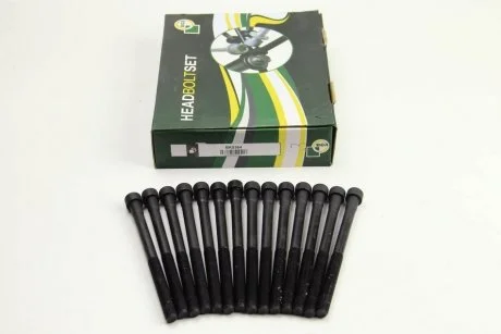 Болти головки блока OM M104 85- (14 шт.) BGA BK5364