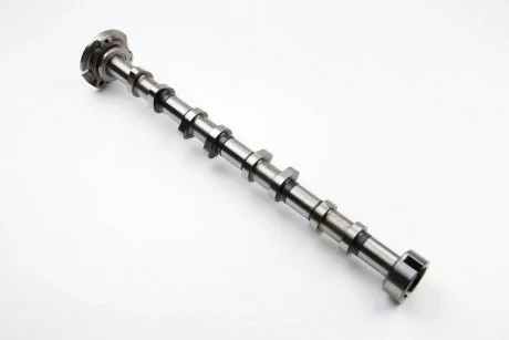 Розподільний вал Jumper/Boxer 2.2HDI 06- (впуск) BGA CS2308