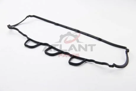 Прокладка клапанної кришки Kangoo 1.5dCi 09- BGA RC4539