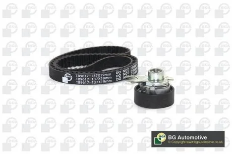 Фото роликовий модуль натягувача ременя (ролик, ремінь) BGA TB9617K Роликовий модуль натягувача ременя (ролик, ремінь) BGA TB9617K
