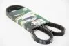 Ремінь генератора 13x1150 VW T2/MB W123 BGA V13X1150 (фото 2)