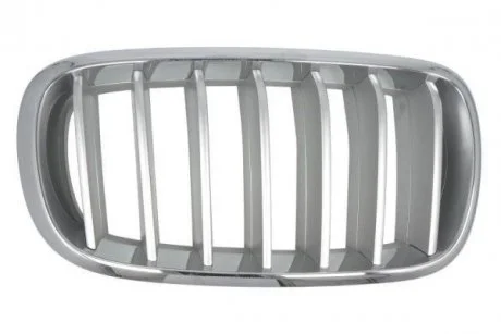 Решетка радиатора BLIC 65020700969966P