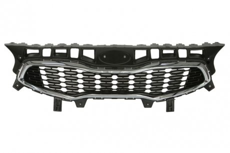 Radiator Grille BLIC 6502073268990P