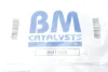Сажевий фільтр BM CATALYSTS BM11026 (фото 2)