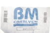 Сажевый фильтр BM CATALYSTS BM11033 (фото 2)