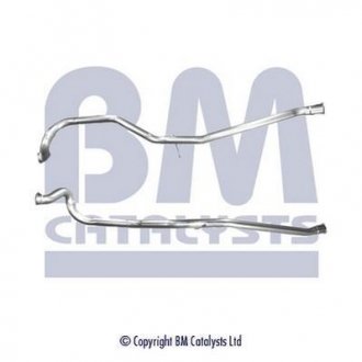 BM CATALYSTS BM50221