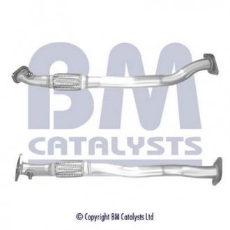 BM CATALYSTS BM50473