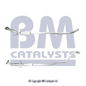 BM CATALYSTS BM50561