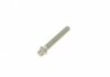Болт депферу Torx M10X65 BMW 11238585220 (фото 1)