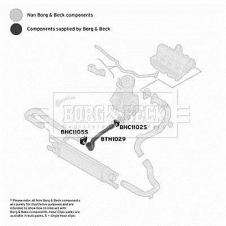 Шлангопровод BORG & BECK BTH1029