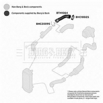 Шлангопровід BORG & BECK BTH1064