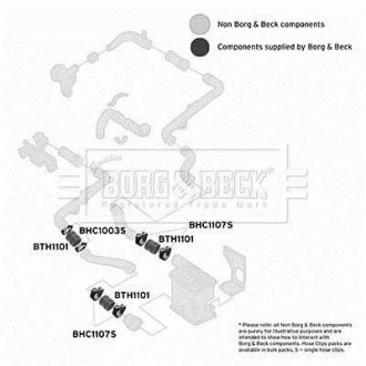 Шлангопровід BORG & BECK BTH1101