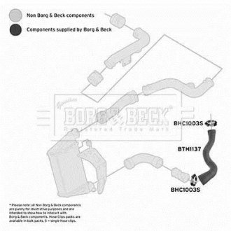 Шлангопровід BORG & BECK BTH1137