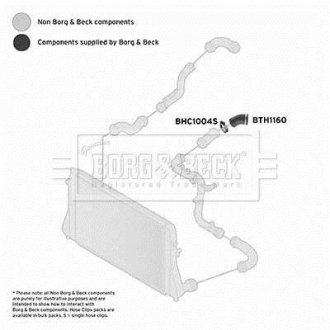 Шлангопровід BORG & BECK BTH1160