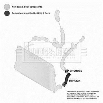 Шлангопровід BORG & BECK BTH1224