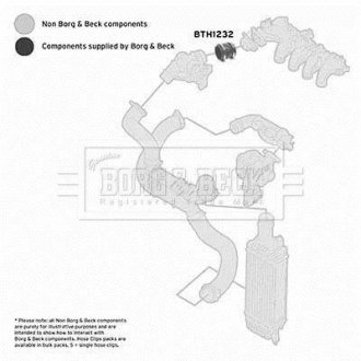 Шлангопровід BORG & BECK BTH1232