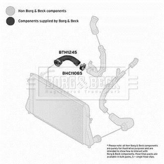 Шлангопровод BORG & BECK BTH1245